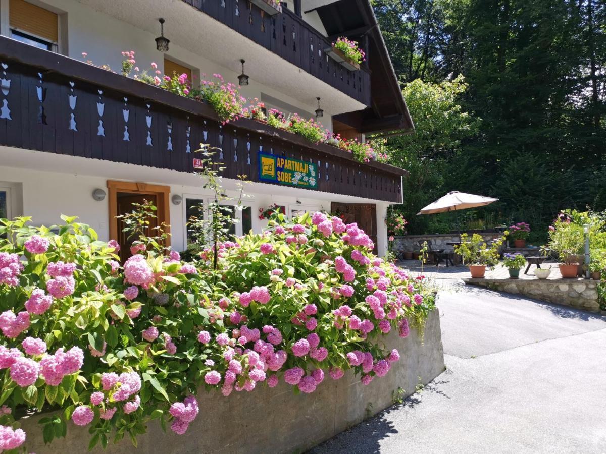 Accommodation Destina, Lake Bohinj Eksteriør billede